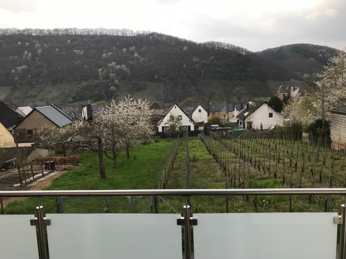 Ferienwohnung " Wein Unter Palmen " Ноймаген-Дхрон Экстерьер фото